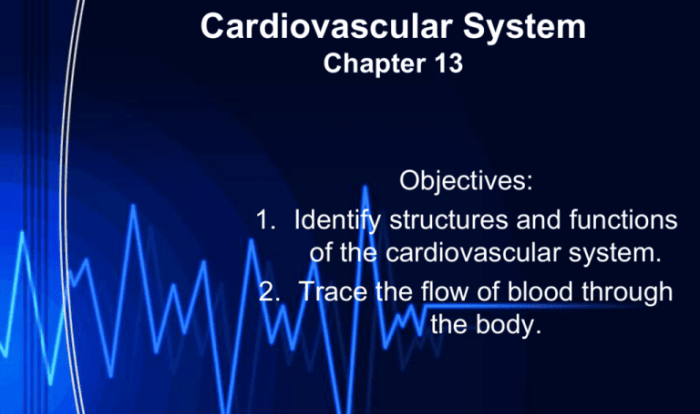 The cardiovascular system chapter 11 packet