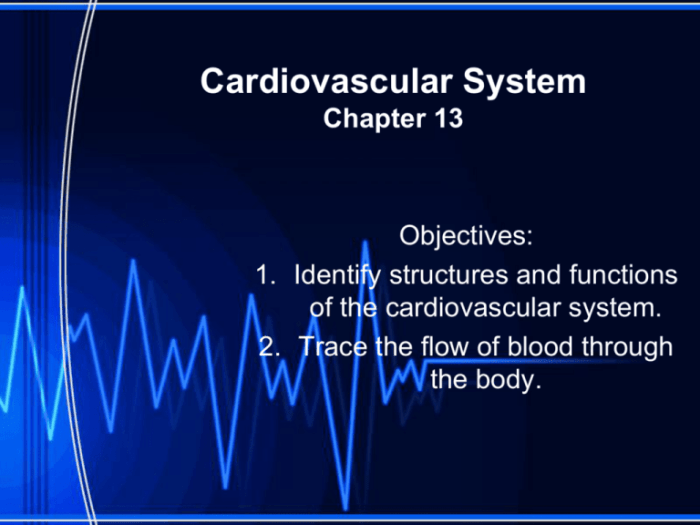 The cardiovascular system chapter 11 packet