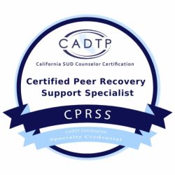 Specialist peer recovery certificate