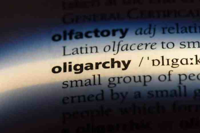 Oligarchy disadvantages