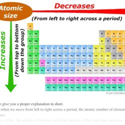 Unit periodic trends atomic size trend - ws #2