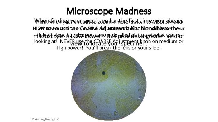 Microscope madness